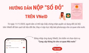 Hướng dẫn nộp 'sổ đỏ' trên VNeID