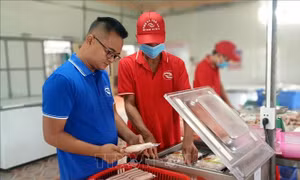 Làm giàu từ tiềm năng, thế mạnh quê hương miền biển