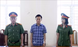 Khởi tố cựu Chủ tịch UBND xã để hư hỏng hơn 260 tấn xi măng phục vụ xây dựng nông thôn mới
