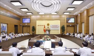 Chủ tịch Quốc hội làm việc với lãnh đạo Cần Thơ, Hậu Giang, Sóc Trăng 