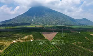 Tăng cường liên kết doanh nghiệp lữ hành, nâng tầm điểm đến