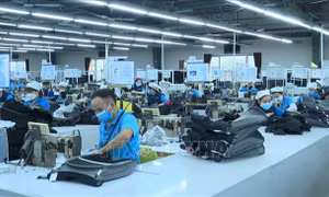 Loại bỏ 'rào cản', tạo động lực cho doanh nghiệp