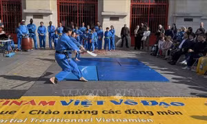 Thêm một địa chỉ tôn vinh Vovinam - Việt võ đạo tại Paris, Pháp