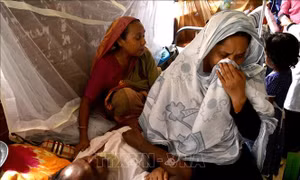 Bangladesh ghi nhận số ca sốt xuất huyết cao kỷ lục