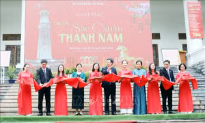 Rộn ràng hoạt động văn hóa, thể thao mừng Xuân Bính Ngọ 2026
