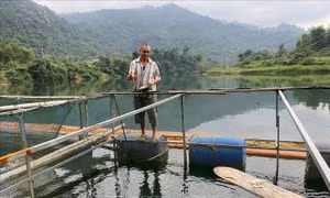 Gỡ khó cho kinh tế trang trại