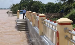 Sức sống mới ở Cù lao Tân Phong