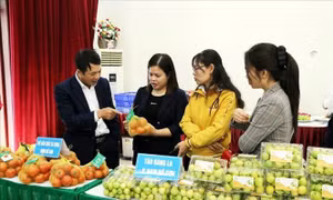 Kết nối nông sản vùng đồng bằng sông Hồng, hướng tới thị trường Tết