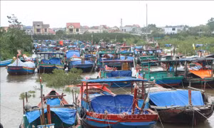 Ứng phó bão số 10: Các trường học ứng phó theo phương châm '4 tại chỗ'
