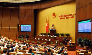 Thông cáo báo chí số 11, Kỳ họp thứ 9, Quốc hội khóa XIV