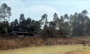 Biến tướng khai thác đất đồi ở Ba Vì (Hà Nội) - Bài cuối: Có dấu hiệu buông lỏng quản lý