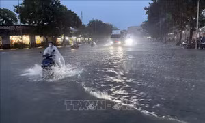 Đà Nẵng cảnh báo cấp độ 1 rủi ro thiên tai do mưa lớn
