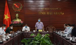 Hậu Giang nghiên cứu thành lập các tổ thu hoạch, thu mua nông sản