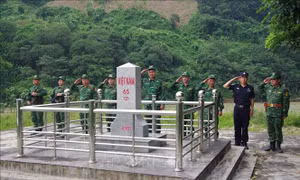 Tổ chức Tuần tra liên hợp chấp pháp trên biên giới 