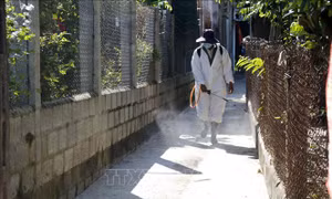 Phạt tới 10 triệu đồng nếu cản trở phun thuốc diệt muỗi