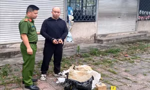Khởi tố đối tượng mua bán động vật hoang dã quý hiếm