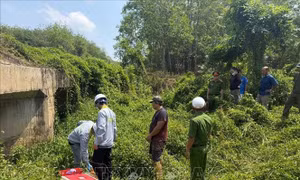 Đồng Nai phát hiện công ty chế biến mủ cao su xả thải trái phép ra môi trường