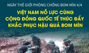 Việt Nam nỗ lực cùng cộng đồng quốc tế thúc đẩy khắc phục hậu quả bom mìn