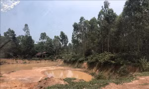 Biến tướng khai thác đất đồi ở Ba Vì (Hà Nội) - Bài 1: Nhiều vùng đồi ở Phú Sơn bị 'băm nát' 