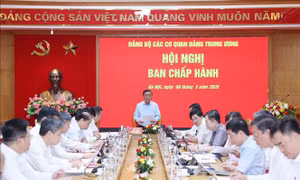 Cụ thể hoá và tổ chức thực hiện hiệu quả các nghị quyết, kết luận của Trung ương