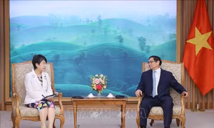 Thủ tướng Phạm Minh Chính tiếp Bộ trưởng Ngoại giao Nhật Bản