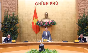Khẩn trương rà soát, xử lý dứt điểm vi phạm khai thác IUU