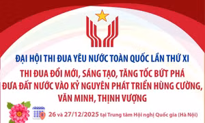 Đại hội Thi đua yêu nước toàn quốc lần thứ XI