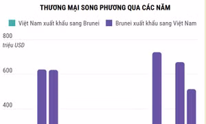 Thương mại song phương Việt Nam - Brunei