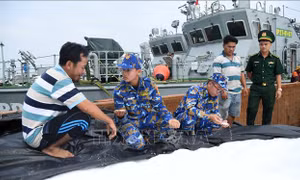 Bộ đội Biên phòng phát hiện tàu chở 100 tấn phân urê không có giấy tờ hợp pháp