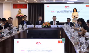 Lễ hội Việt Nam - Nhật Bản lần thứ 8 có quy mô lớn nhất từ trước đến nay