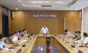 Hải Phòng họp khẩn triển khai phòng chống bão số 11 