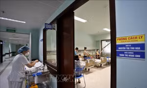 Hạn chế tối đa bệnh nhi mắc virus Adeno trở nặng, lây chéo 