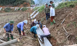 Tuyên Quang: Gói thầu kiên cố hóa kênh mương có được đấu thầu công khai minh bạch?