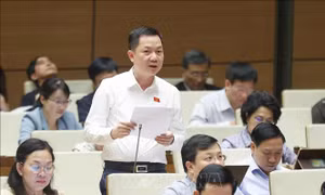 Chống sở hữu chéo, thao túng tổ chức tín dụng