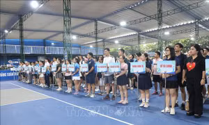 Gần 300 vận động viên tham dự Giải vô địch Pickleball 2026 tại Ninh Bình