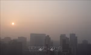 Campuchia hoàn thành trước thời hạn NDC cập nhật cho Công ước khung của Liên hợp quốc về Biến đổi khí hậu
