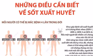 Những điều cần biết về sốt xuất huyết