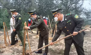 Quảng Bình phát động 'Tết trồng cây đời đời nhớ ơn Bác Hồ'