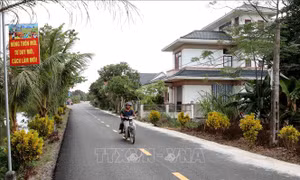 Thi đua yêu nước: Nhân sức mạnh đoàn kết từ Chi bộ Đảng ở cơ sở