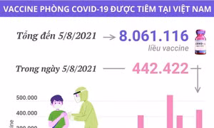 Hơn 8 triệu liều vaccine phòng COVID-19 đã được tiêm tại Việt Nam