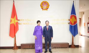 Tổng Giám đốc TTXVN Vũ Việt Trang chào xã giao Đại sứ Việt Nam tại Lào