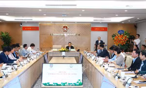 Nâng cao hiệu quả công tác pháp chế tại các bộ, ngành Trung ương