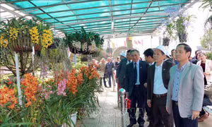 Khai mạc không gian hoa Đà Lạt 