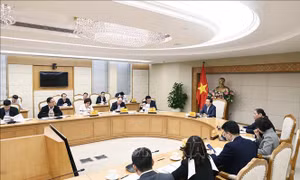 Dự thảo phân cấp địa phương cấp, thu hồi giấy phép kinh doanh karaoke, vũ trường