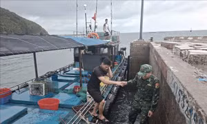 10 thuyền viên được cứu vớt an toàn vùng biển Cô Tô
