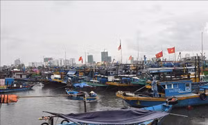 Ứng phó bão số 5: Chủ động di chuyển phương tiện tránh khỏi khu vực nguy hiểm