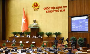 Thông qua Luật Phòng cháy, chữa cháy và cứu nạn, cứu hộ