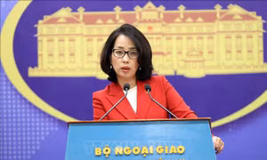 Kịp thời có các biện pháp hỗ trợ, bảo hộ công dân ảnh hưởng bởi động đất ở Venezuela
