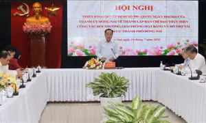 Đồng Nai thành lập Ban Chỉ đạo giải phóng mặt bằng nhằm đẩy nhanh tiến độ dự án