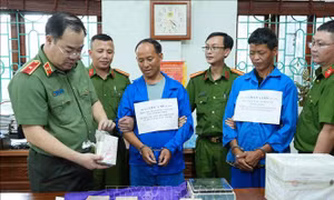 Phá chuyên án ma túy, bắt 2 đối tượng, thu giữ 8 bánh heroin